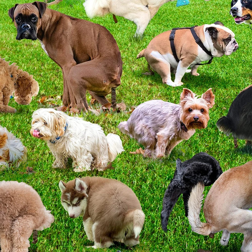 Puzzle - Pooping dogs - 1000 pièces